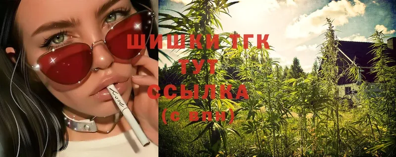 закладка  Дубна  Конопля сатива 